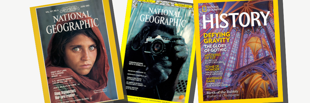 How to Launch a Successful Digital Magazine in 2024 - Blog